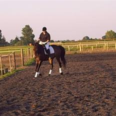 Oldenborg schousboes rasmus 