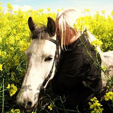 Anden særlig race Lady