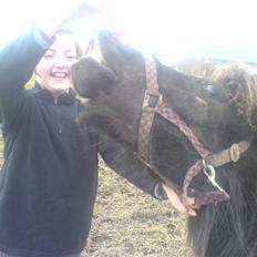 Shetlænder pretty <33 rider ikke mer
