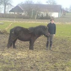 Shetlænder pretty <33 rider ikke mer