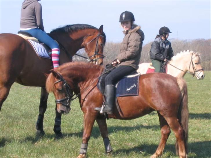 Anden særlig race Beauty "SOLGT" <3 billede 1