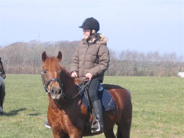 Anden særlig race Beauty "SOLGT" <3 billede 2