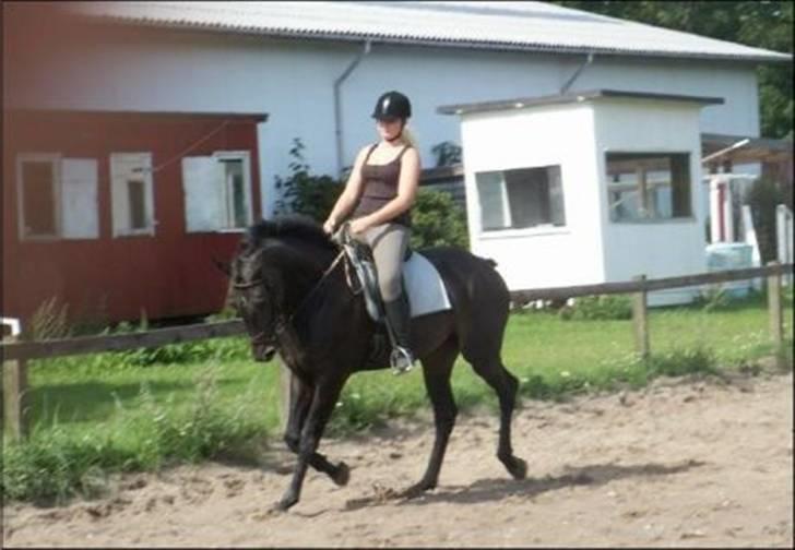 Fuldblod (XX) Babyface - gammelt..  billede 7