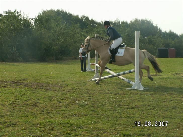 Fjordhest Tulle (Min<3) - Stævne i Troldhøj d. 19. billede 15
