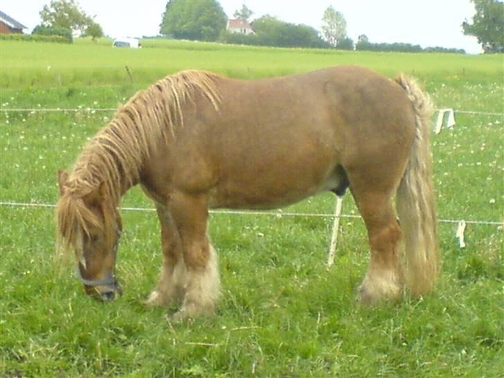 Jyde Tumling billede 18