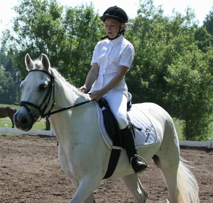 New Forest Odbjergs Pikant <3SOLGT:( - Klubstævne d.9/6-07, pyha hvor havde vi det varmt. billede 5