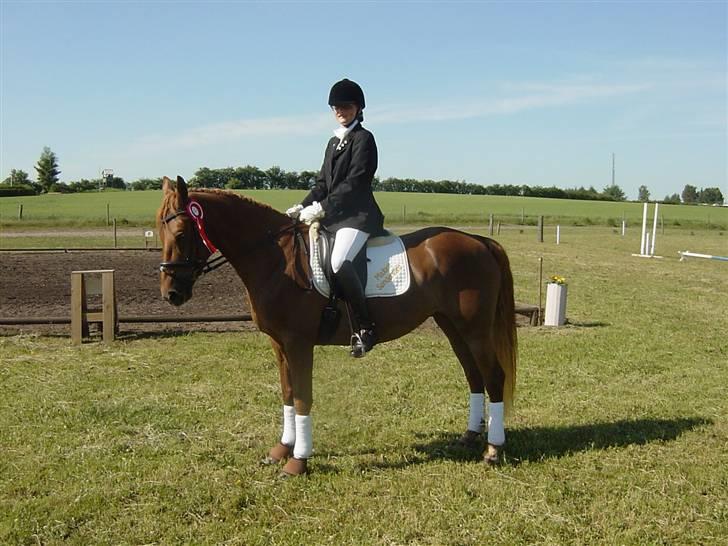 Anden særlig race Holmgårds Phoebe "solgt" - Mit sidste stævne på Phoebe. 1. plads i LC2 om Lørdagen og 2. plads i LC2 om Søndagen i FHR d. 9. og 10. Juni 2007. billede 18