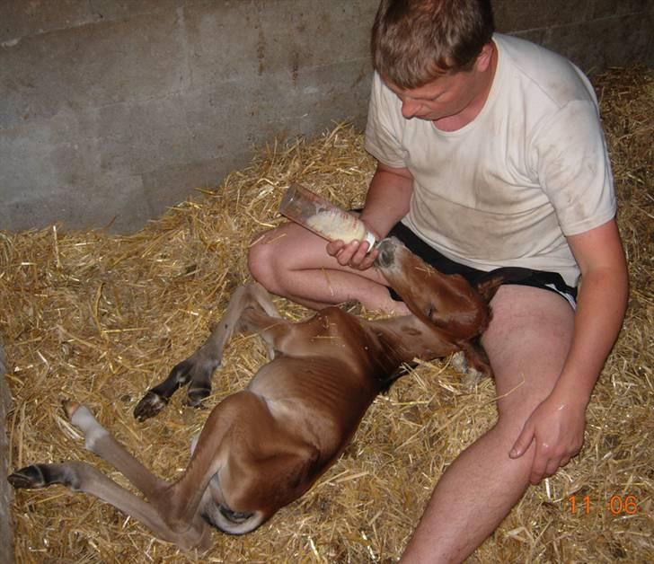 Anden særlig race Texas Little Loving † DØD billede 8