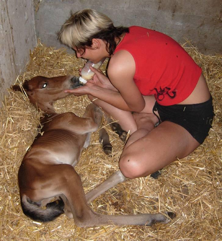 Anden særlig race Texas Little Loving † DØD billede 10