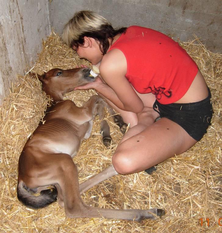 Anden særlig race Texas Little Loving † DØD billede 11