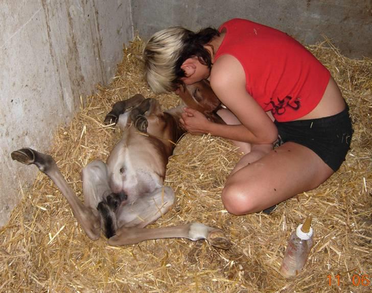 Anden særlig race Texas Little Loving † DØD billede 12