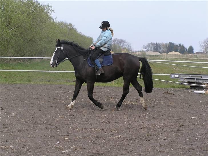 Oldenborg *Katarina*  Solgt - Freja og Karoline. billede 10