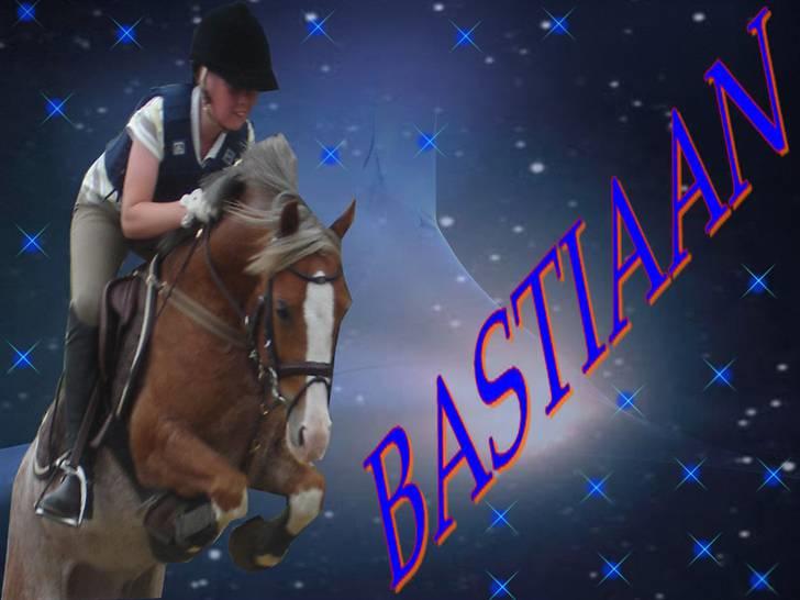 Welsh Pony af Cob-type (sec C) Bastiaan  *~*SOLGT*~* - Welkommen til Bastiaans profil ;) billede 1
