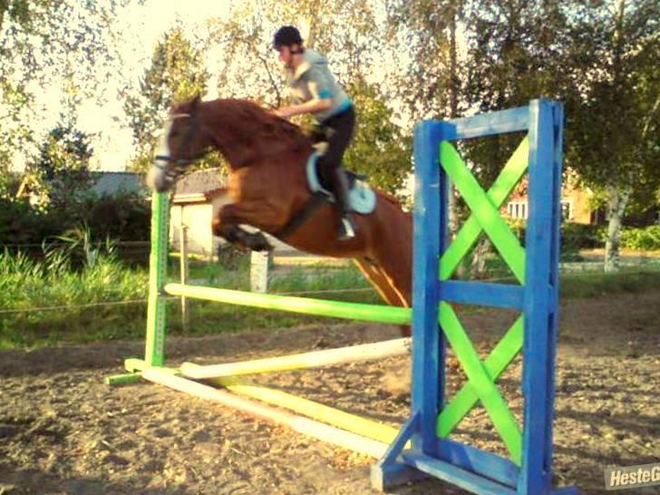 Frederiksborg <3 Lotte (Krone 1) <3 billede 17