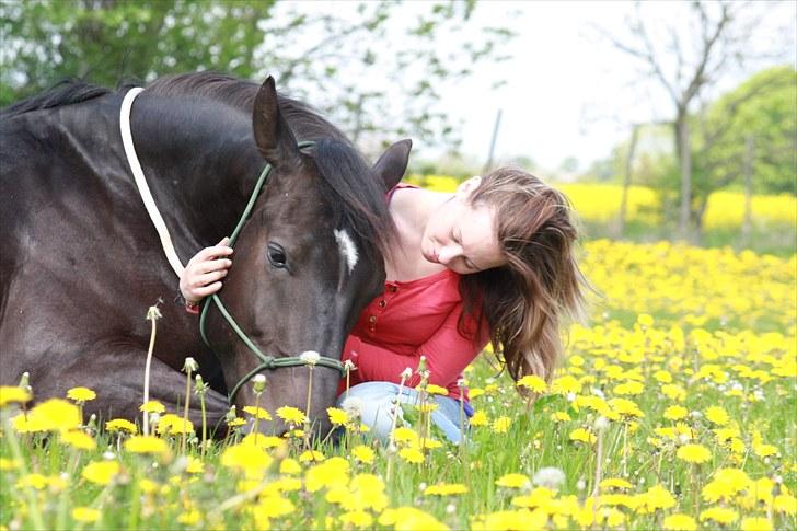 Oldenborg | Svalegaardens Indy - Min dejlig hest <3  billede 8