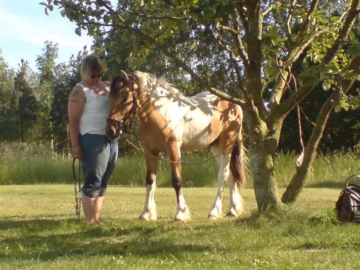 Anden særlig race Bavnshøj´s Cassie (Solgt) billede 9