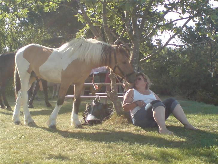 Anden særlig race Bavnshøj´s Cassie (Solgt) - Var med en tur ved siden af hestevognen som blev trukket af min mor Bella. Vi kørte til vandet... billede 10