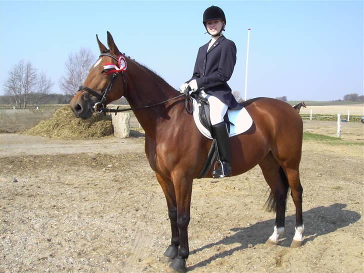 Standardbred Good As Perfect - 1. plads igen. ;D (foto: mor/kamera) billede 8