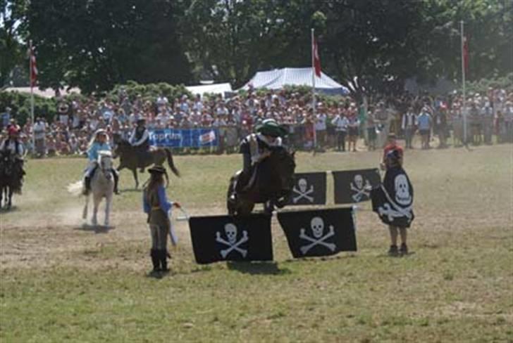 New Forest Offem Minos billede 13