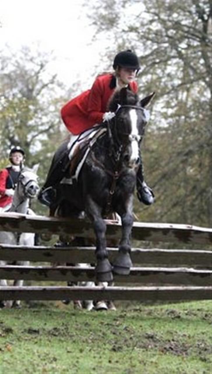 Anden særlig race Indy - Indy og mig til hubertus jagt 2006 billede 1