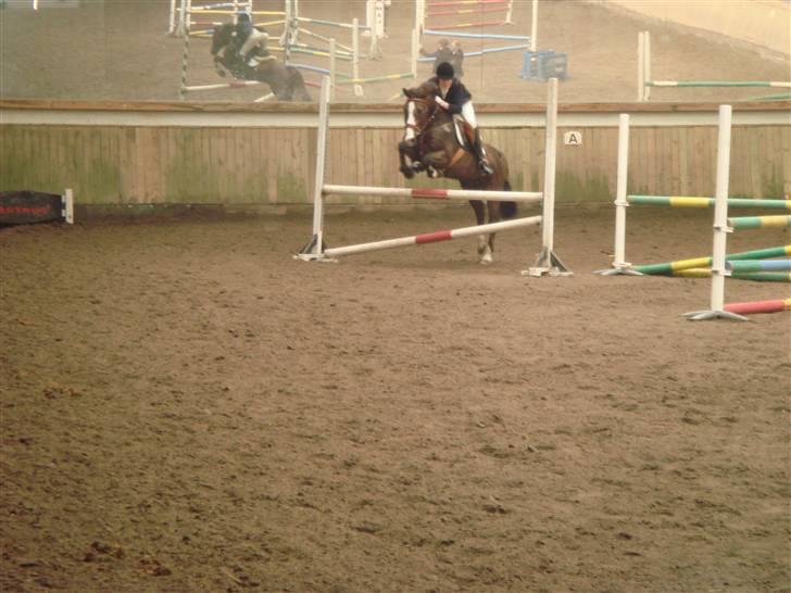 Anden særlig race Indy billede 2