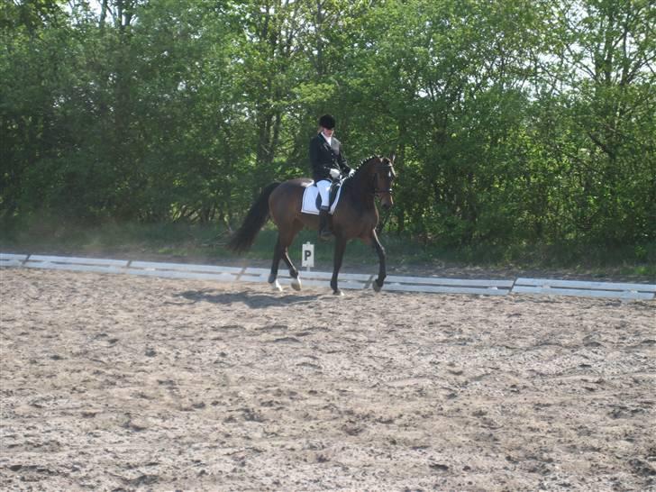 Anden særlig race Malou (SOLGT) R.I.P. <3 - Stævne, hvor vi blev nummer 3!!!! 06 billede 2