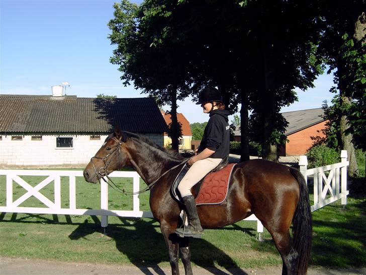 Anden særlig race Malou (SOLGT) R.I.P. <3 - malou som 3 års, kun redet i 14dage 05 billede 5