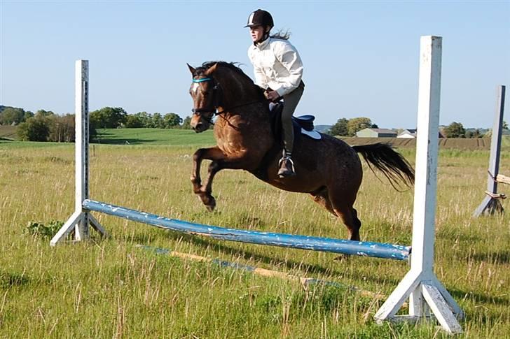 DSP Satisfaction "Solgt" - Mig og Satisfaction billede 1