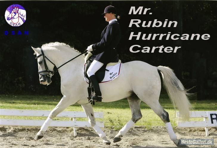Anden særlig race Mr Rubin Hurricane Carter - Rubin til stævne  billede 1
