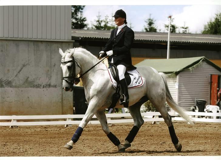 Anden særlig race Mr Rubin Hurricane Carter - Rubin til dristriktstævne Jysk-rideuge Silkeborg billede 2