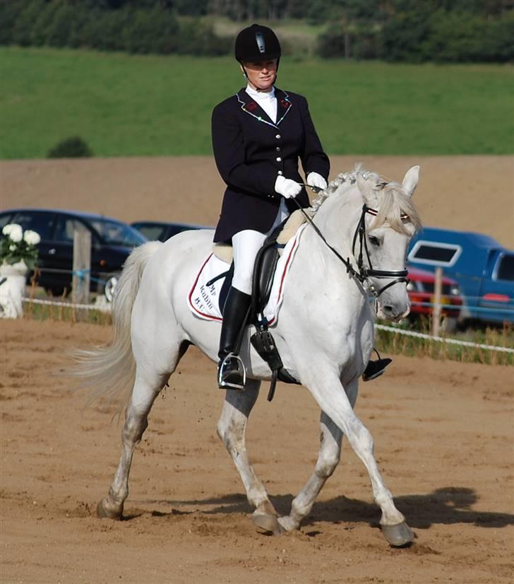 Anden særlig race Mr Rubin Hurricane Carter - dressur i søhøjlandets cub sep. 2008 i maxi cup billede 5