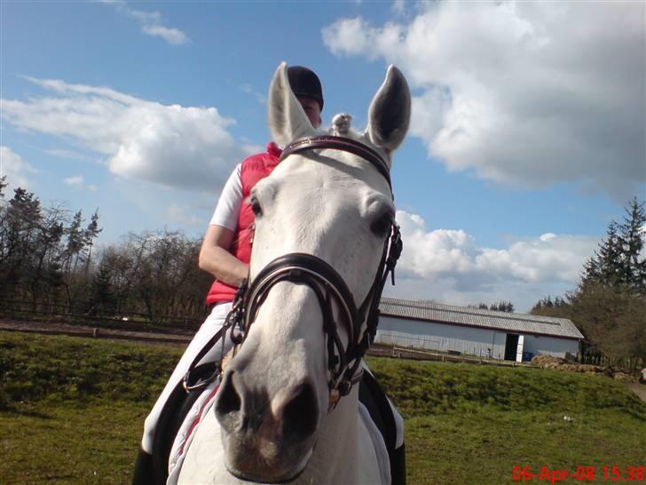 Anden særlig race Mr Rubin Hurricane Carter - Hey.. Hva så... billede 11