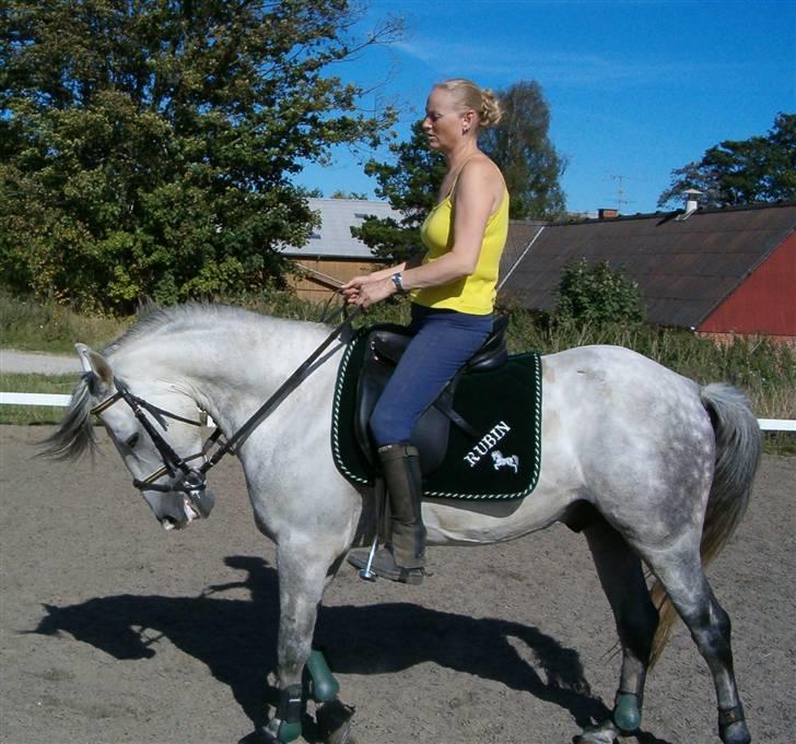 Anden særlig race Mr Rubin Hurricane Carter - Rubin lige redet til og kan ikke stå stille he he billede 12