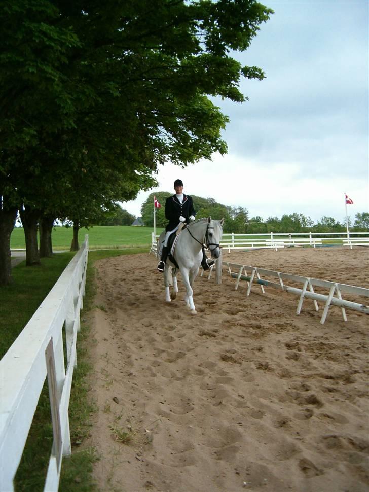 Anden særlig race Mr Rubin Hurricane Carter - Så er den klasse overstået billede 14