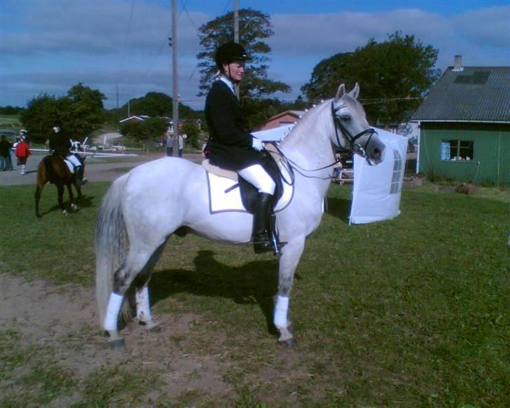 Anden særlig race Mr Rubin Hurricane Carter - Her skinner vi som sølv og er til vores første stævne LC2. år 2006 billede 15