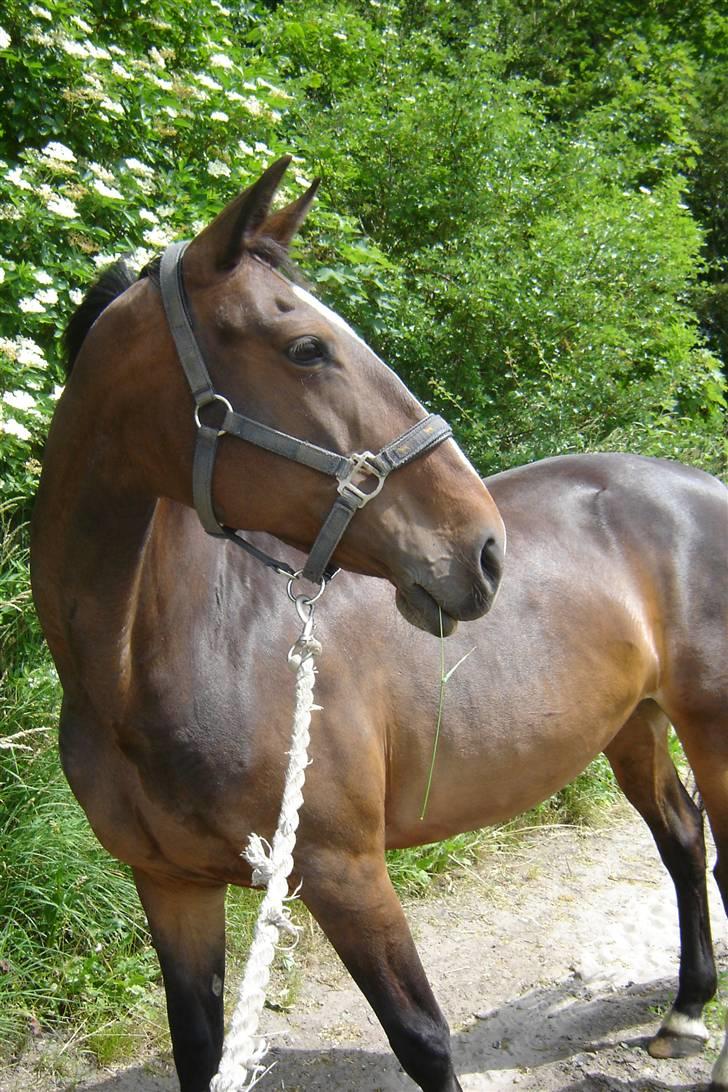 Anden særlig race unik - Er jeg ikke fin billede 8