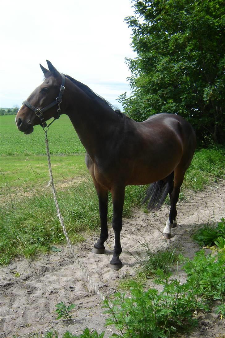 Anden særlig race unik - Ude og se hvor jeg bor billede 9