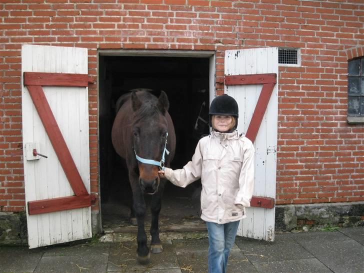 Traver hertug - det er susanne det holler mig.. ( pernilles søs) billede 7