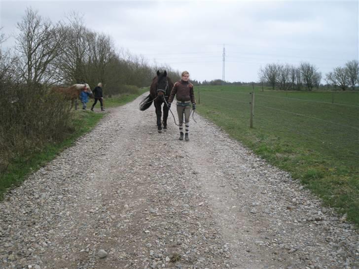 Traver hertug - jeg er flytte op på en går.. fordi lana døde,, så skal jeg passe hihi billede 9