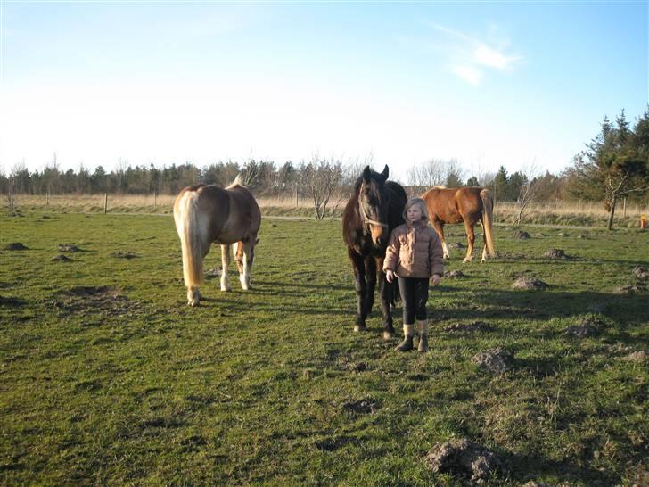 Traver hertug - haha det er charlotte   (pernilles søs) hun har to søs billede 10