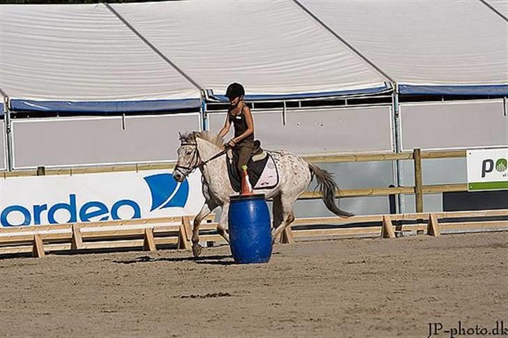 Anden særlig race Philippa SOLGT  - Ponygames på Roskilde dyreskue 2007.. Karen,Tenna, Philippa og jeg var så seje :D billede 19