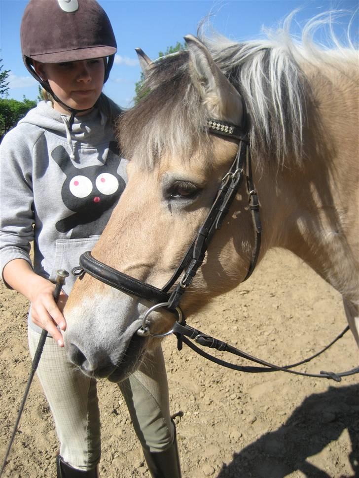 Fjordhest Silvia.. R.I.P - Mig og silvia <3 billede 9