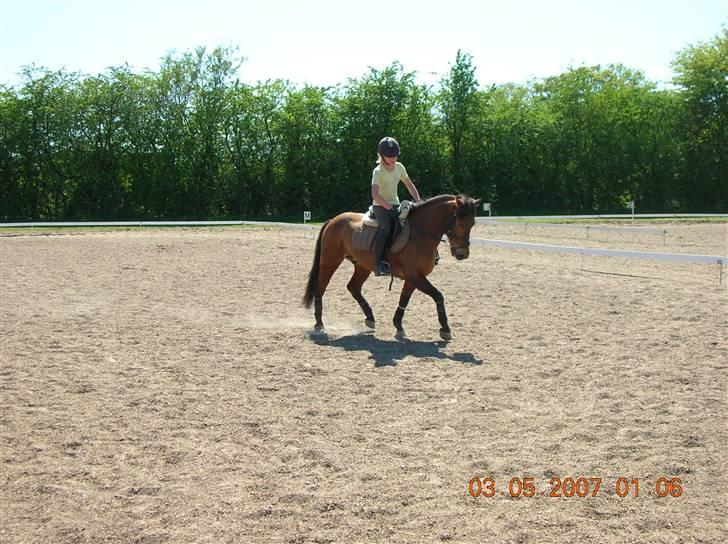 Anden særlig race My Little Pony - Solgt :( billede 3