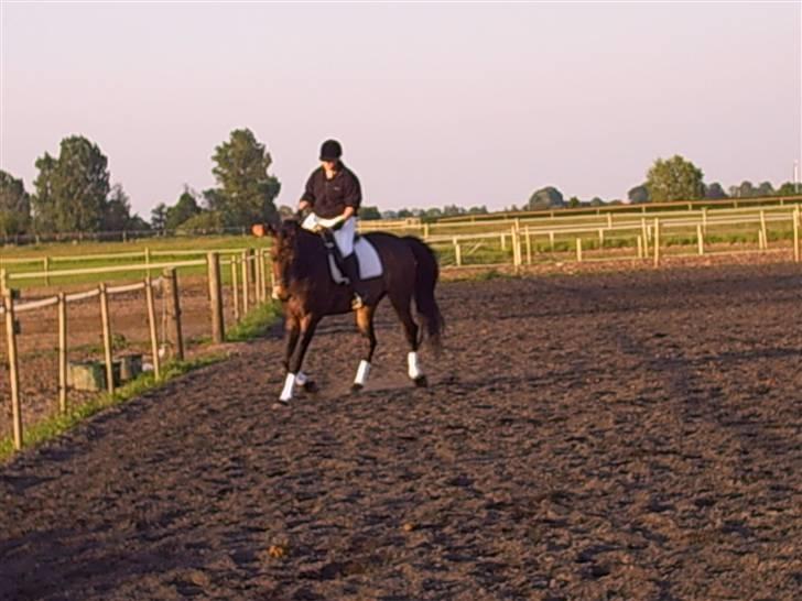 Oldenborg schousboes rasmus  billede 3