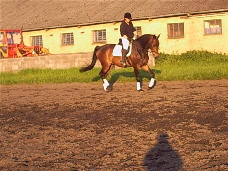 Oldenborg schousboes rasmus  billede 4