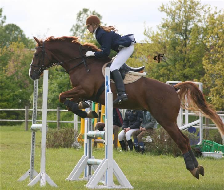 Oldenborg Mosegården Dukat solgt - Stævne på GDR billede 16