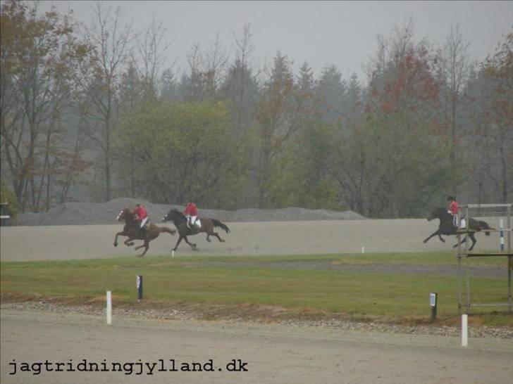 Oldenborg Mosegården Dukat solgt - opløbet i skive, er den forreste på billedet, men der er 2 foran mig. billede 17