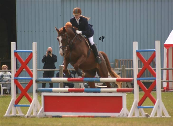Oldenborg Mosegården Dukat solgt - stævne på GDR. billede 18