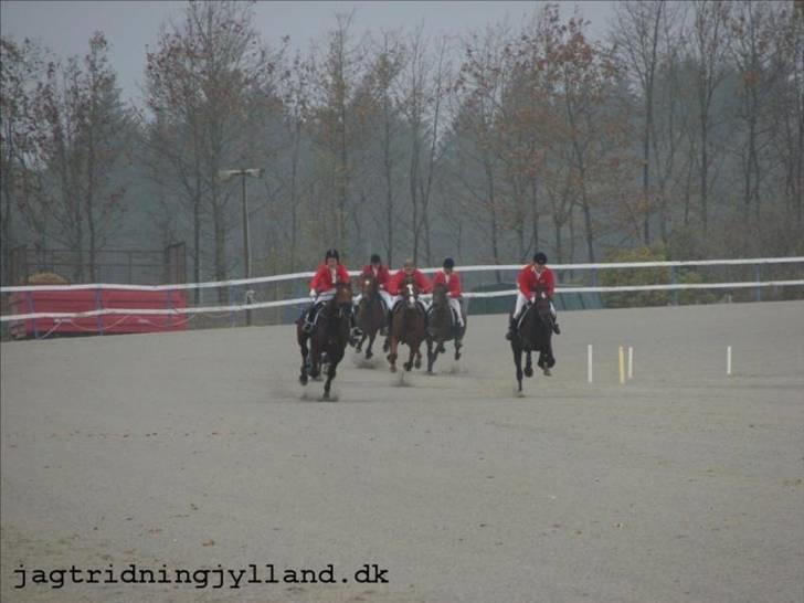 Oldenborg Mosegården Dukat solgt - weeee...! opløbet billede 19