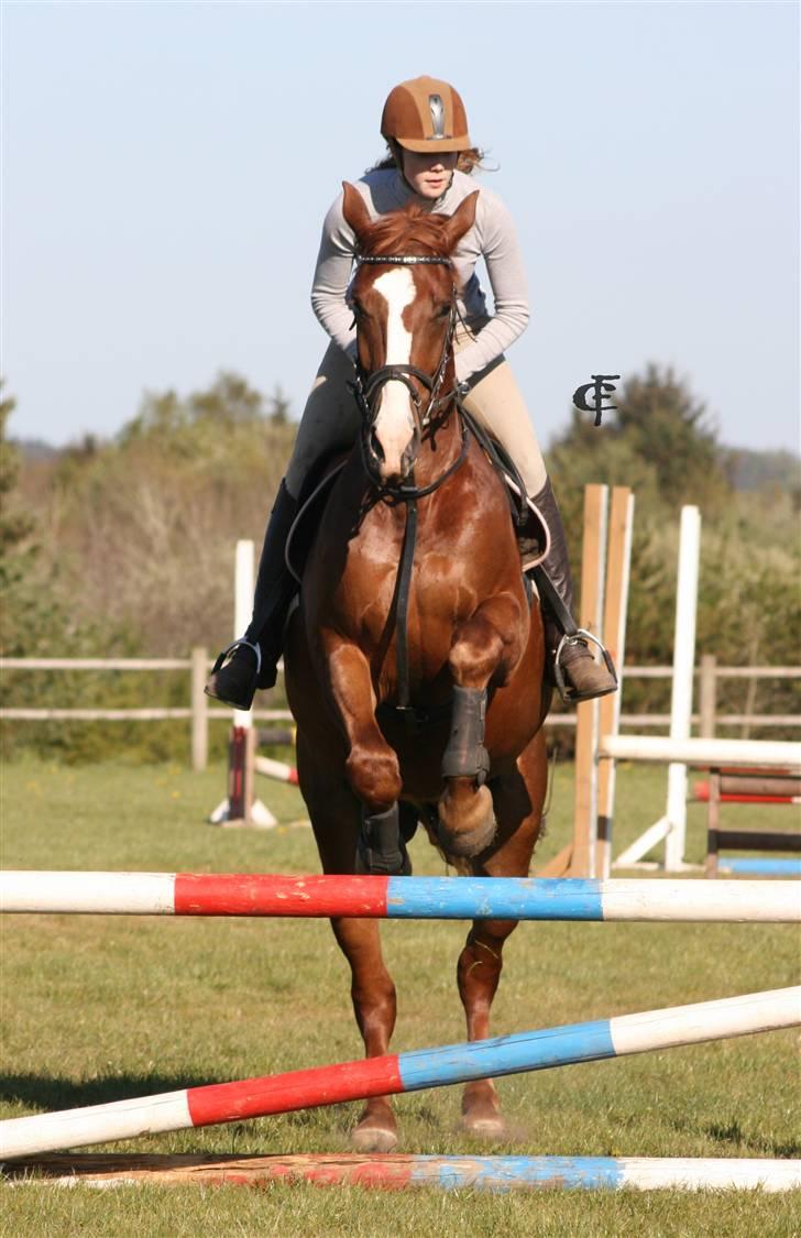 Oldenborg Mosegården Dukat solgt - meget koncentreret ;) billede 20